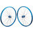 Color: Blue