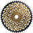 Color: Gold