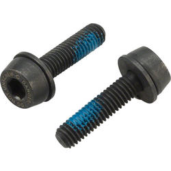 Campagnolo H11 Disc Caliper Mounting Screws