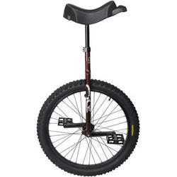 Sun Bicycles Flat Top OR Unicycle